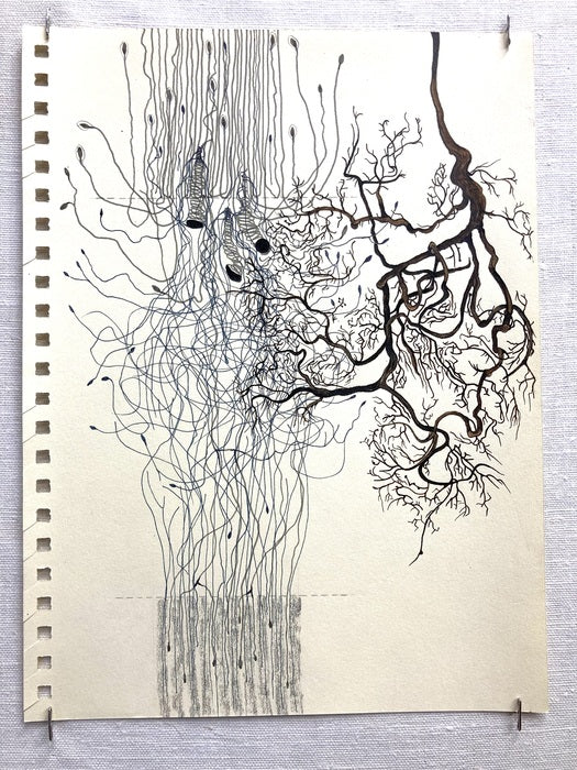 Life Lines: Cajal and I (No. 13), 2022, mixed media, 12 x 9 in. / 30.48 x 22.86 cm.