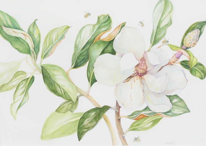 Magnolia with Bees, 2019, watercolor, 26 x 21 in. / 66.04 x 53.34 cm.