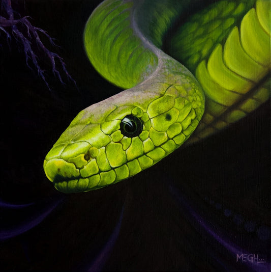 Mamba, 2022, oil, 12 x 12 in. / 30.48 x 30.48 cm.