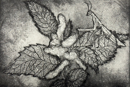 Mantis on Stinging Nettles, 2023, etching on handmade paper, 5.11 x 7.87 in. / 13 x 20 cm.