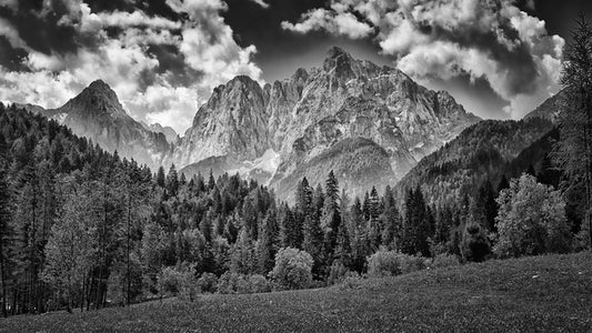 Meadow and Forest Beneath the Julian Peaks, 2017, aluminum metal plate photography, 9 x 14 in. / 22.86 x 35.56 cm.
