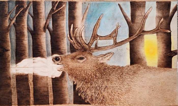 Morning Call, 2023, pyrography and water color pencil on basswood, 8.5 x 12 in. / 21.59 x 30.48 cm.