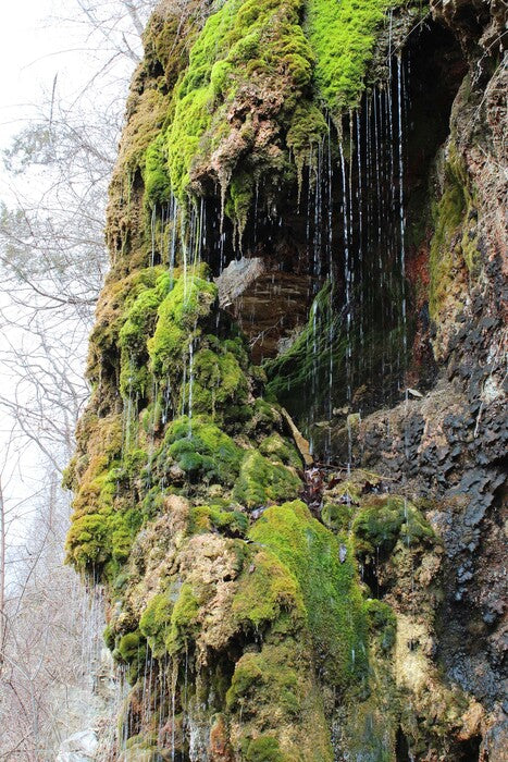 Moss Drips, 2024, photography, 18 x 12 in. / 45.72 x 30.48 cm.