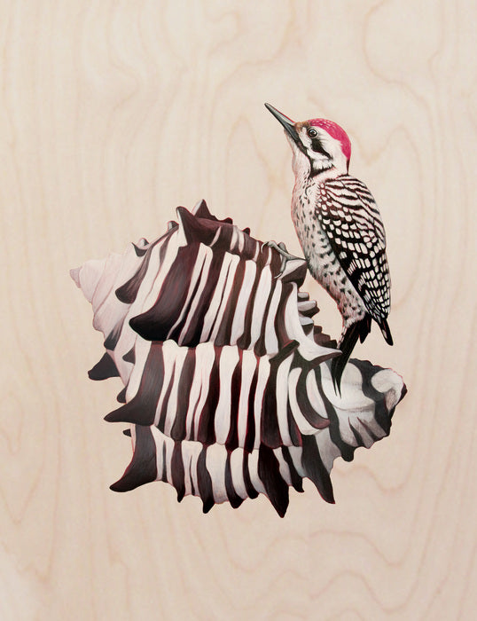 Murex/Woodpecker, 2023, mixed media on wood, 24 x 19 in. / 60.96 x 48.26 cm.