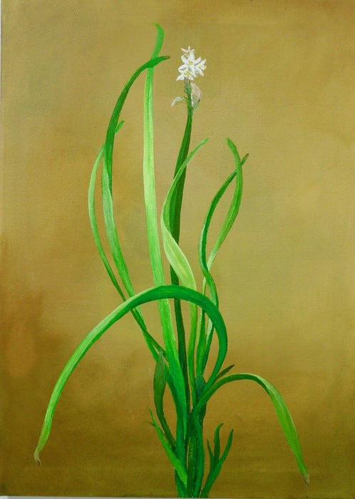 Narcissus, 2024, acrylic on canvas, 24 x 20 in. / 60.96 x 50.8 cm.