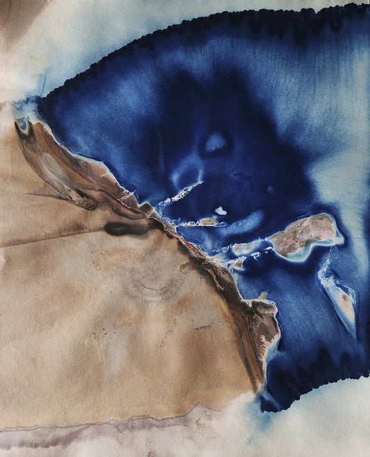 Natural Forces, 2023, cyanotype, 17 x 20 in. / 43.18 x 50.8 cm.