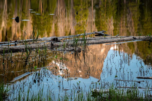 Nymph Lake, 2023, photography, 30 x 40 in. / 76.2 x 101.6 cm.