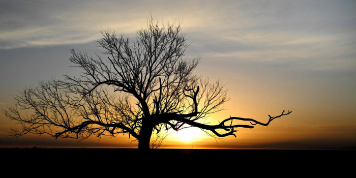 Oklahoma Evening, 2020, photography, 10 x 20 in. / 25.4 x 50.8 cm.