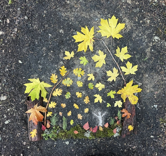 Open to the Rain of Fall, 2023, land art, 39 x 37 in. / 99.06 x 93.98 cm.