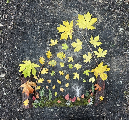 Open to the Rain of Fall, 2023, land art, 39 x 37 in. / 99.06 x 93.98 cm.