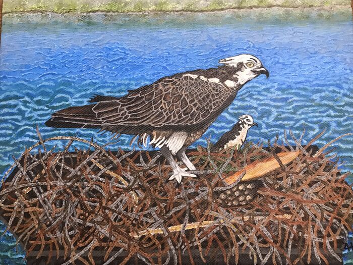 Osprey Nest Along a Washington River, 2024, acrylic, 11 x 14 in. / 27.94 x 35.56 cm.