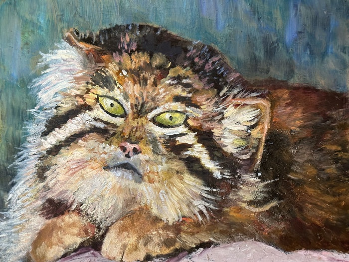 Pallas Cat, 2023, oil on panel, 8 x 10 in. / 20.32 x 25.4 cm.