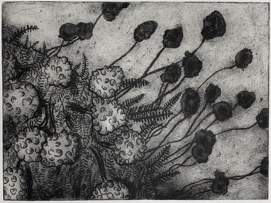 Shadows of Santolina, 2023, etching on handmade paper, 5.7 x 7.4 in. / 14.5 x 19 cm.