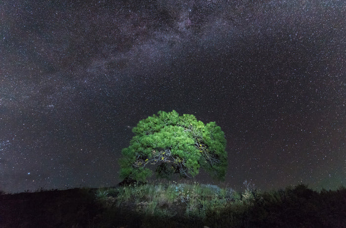 Space Invaders, 2023, photography, 22 x 18 in. / 55.88 x 45.72 cm.