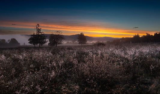Sunrise Over Frozen Field, 2023, giclee print, 11 x 17 in. / 27.94 x 43.18 cm.