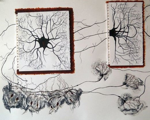 The Cajal Correspondence, 2020, mixed media, 22.5 x 28 in. / 57.15 x 71.12 cm.