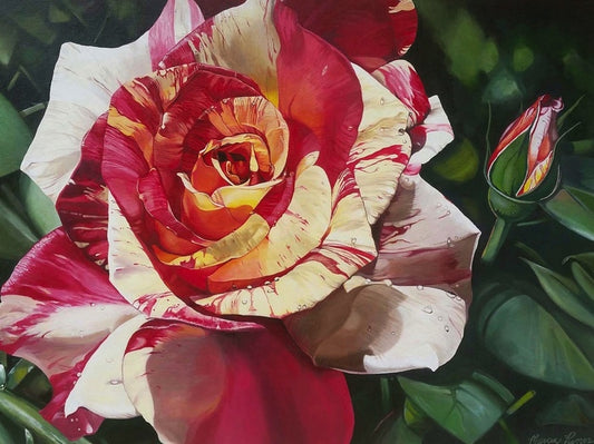 The Rose, 2016, acrylic, 30 x 40 in. / 76.2 x 101.6 cm.