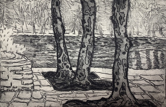 Three Sycamores at Wade Park Lagoon, 2023, etching on handmade paper, 5.9 x 9 in. / 15 x 23 cm.