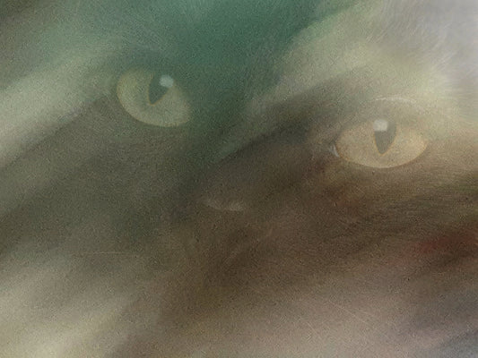Tituba II, 2024, digital photograph, 9 x 12 in. / 22.86 x 30.48 cm.