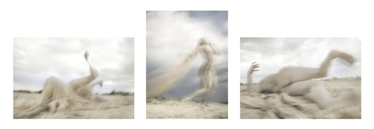 Triptych No 2, 2010, inkjet print, 15 x 44 in. / 38.1 x 111.76 cm.