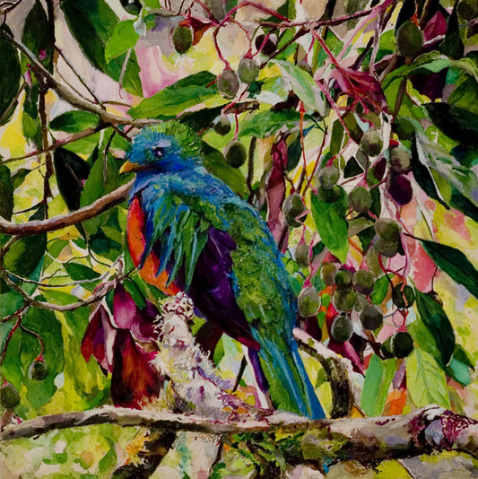 Tropical Rainforest Quetzal, 2021, mixed media on aquabord, 12 x 12 in. / 30.48 x 30.48 cm.