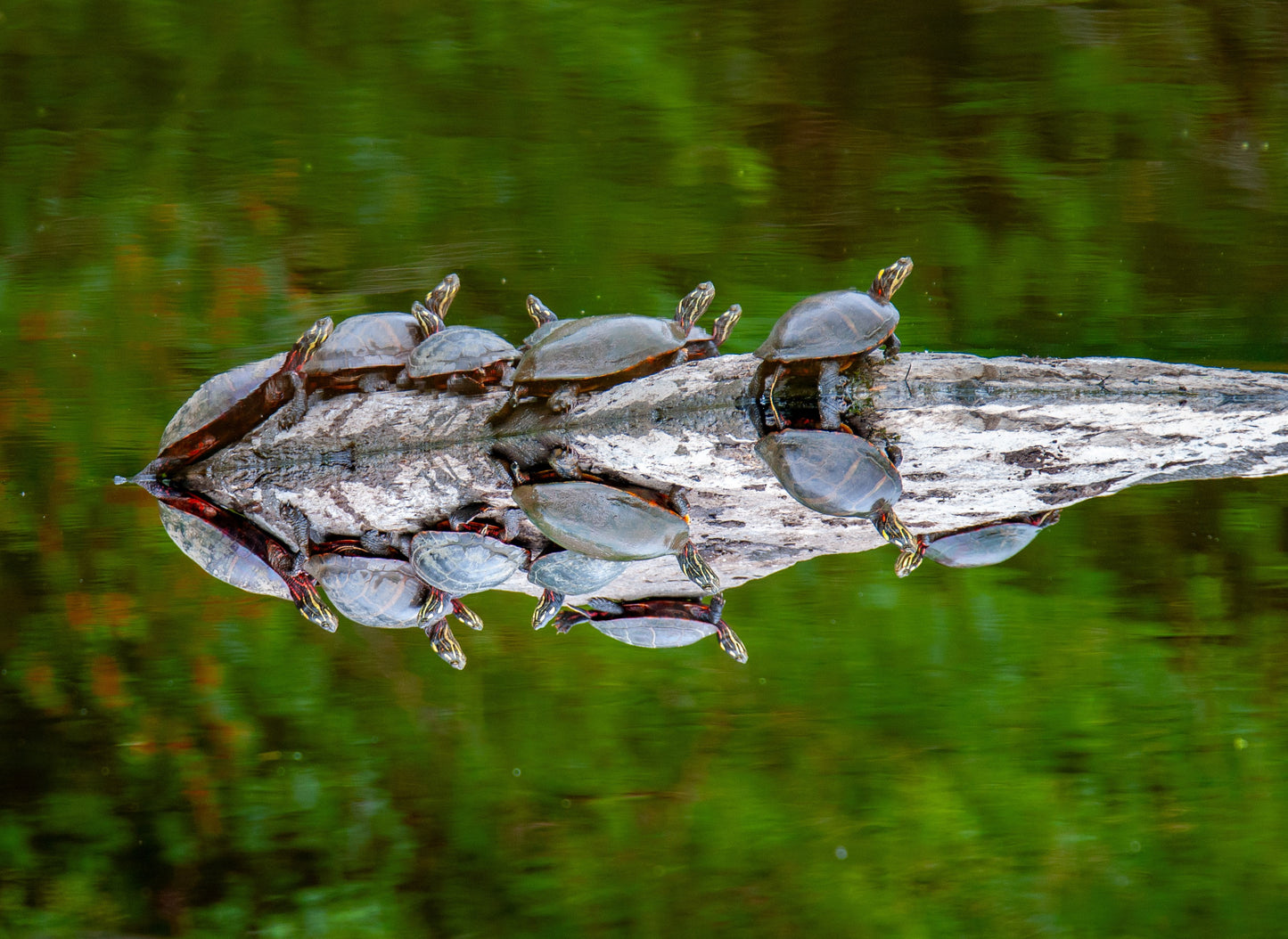 Which End Is Up?, 2015, photography, 20 x 30 in. / 50.8 x 76.2 cm.